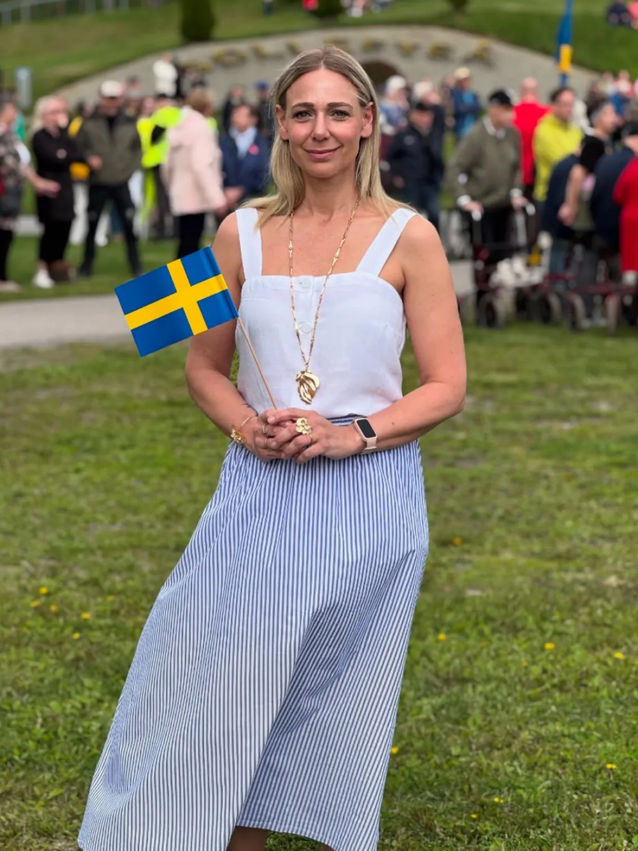 Linne i linnemix