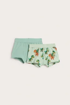 2-pack boxershorts med dinosaurieprint