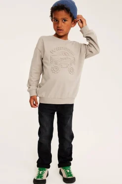 Sweatshirt i bomullstrikå med 3D-effektmotiv monsterbil