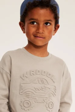 Sweatshirt i bomullstrikå med 3D-effektmotiv monsterbil