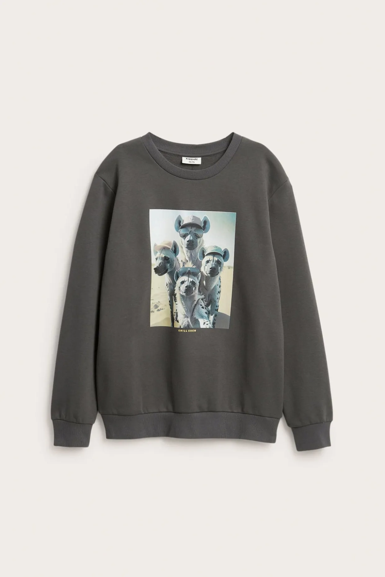 Sweatshirt med tryck