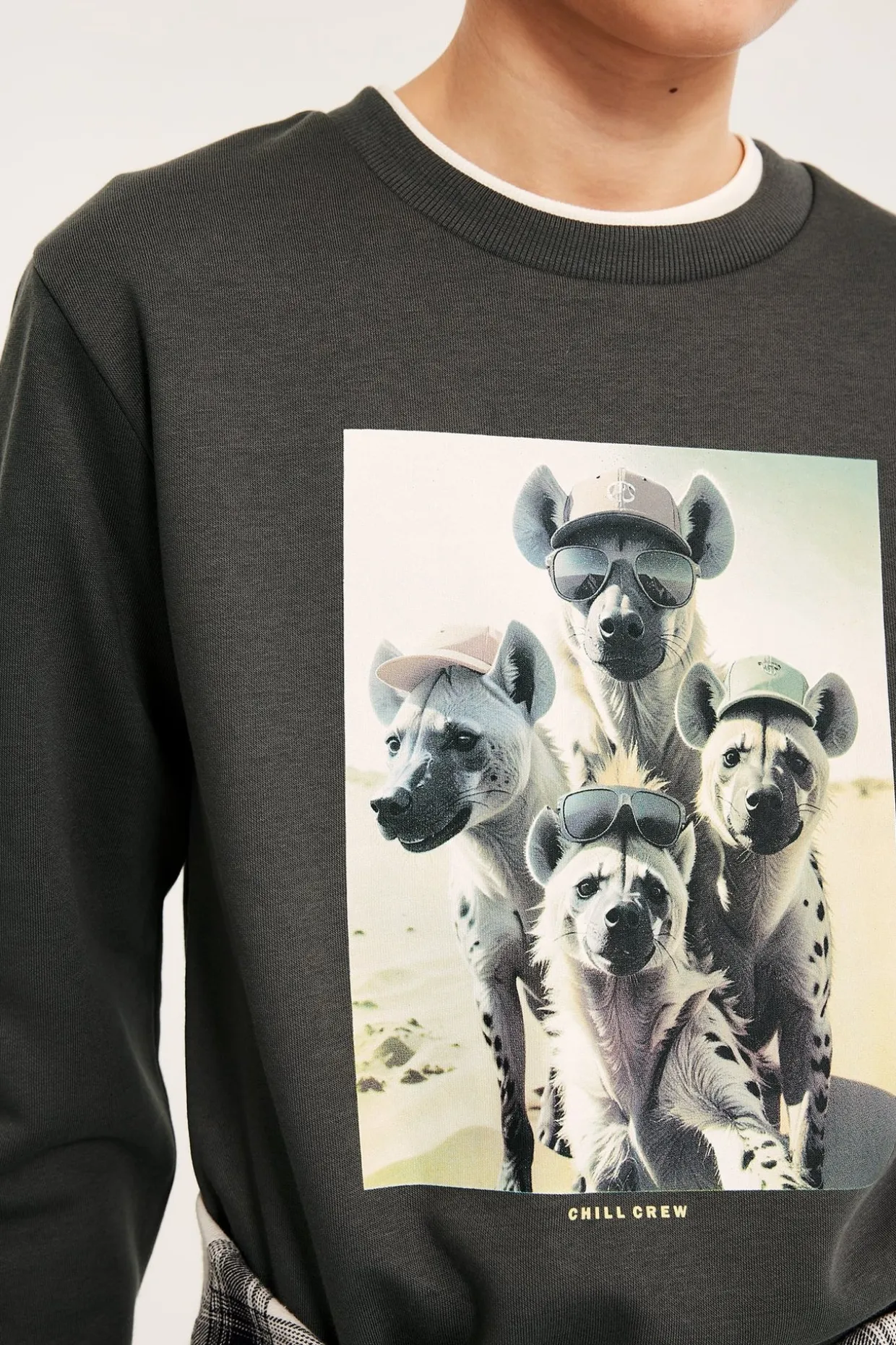 Sweatshirt med tryck