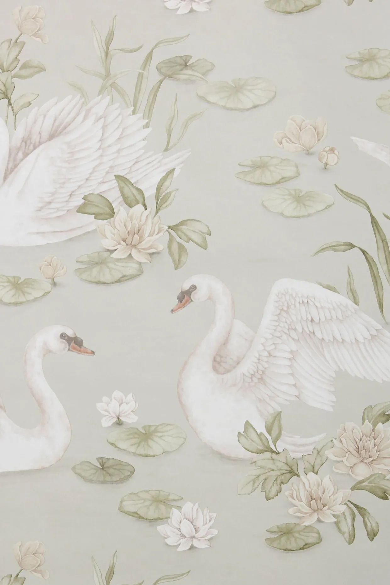 Tapet Lily Swan