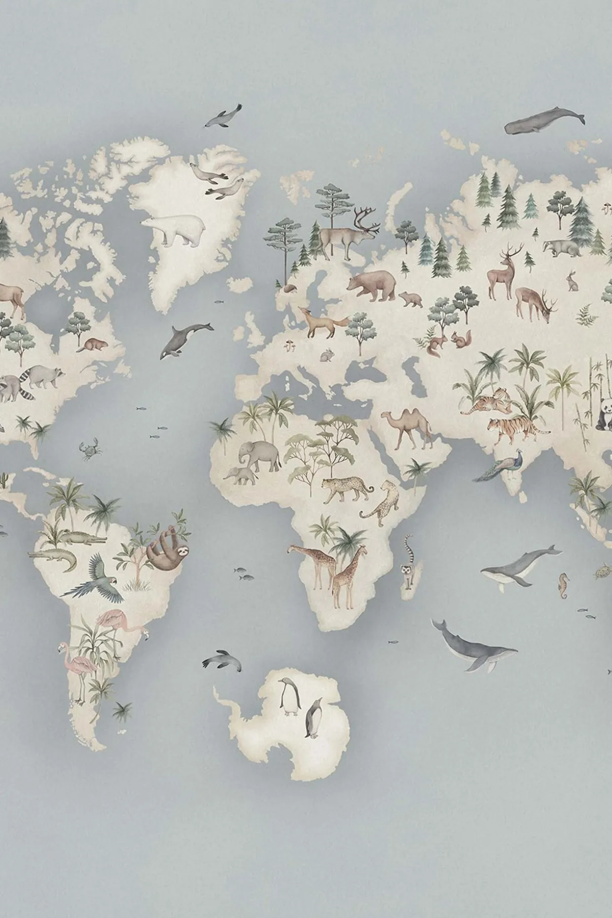 Tapet Little Explorer - Mural