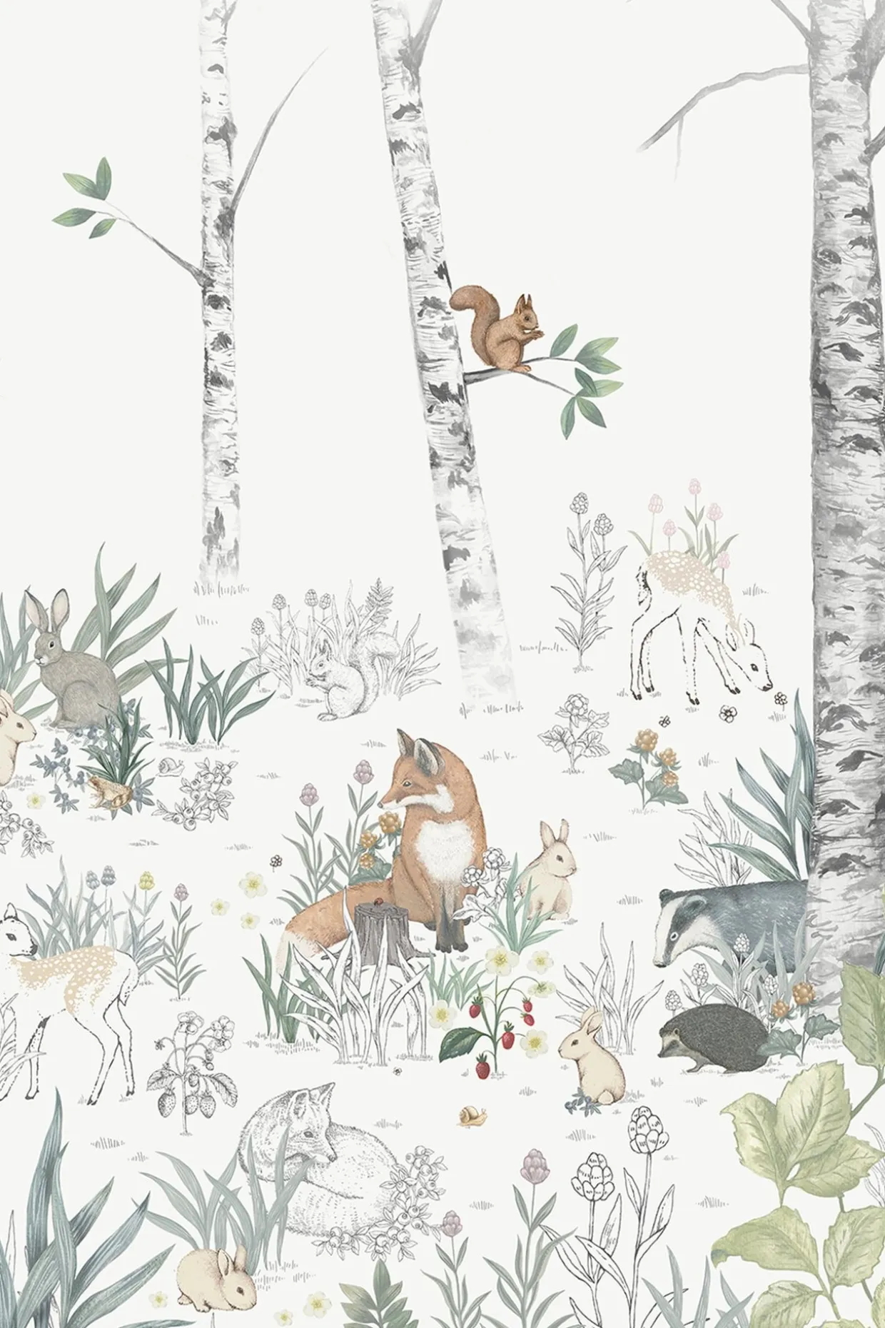 Tapet Magic Forest - Mural