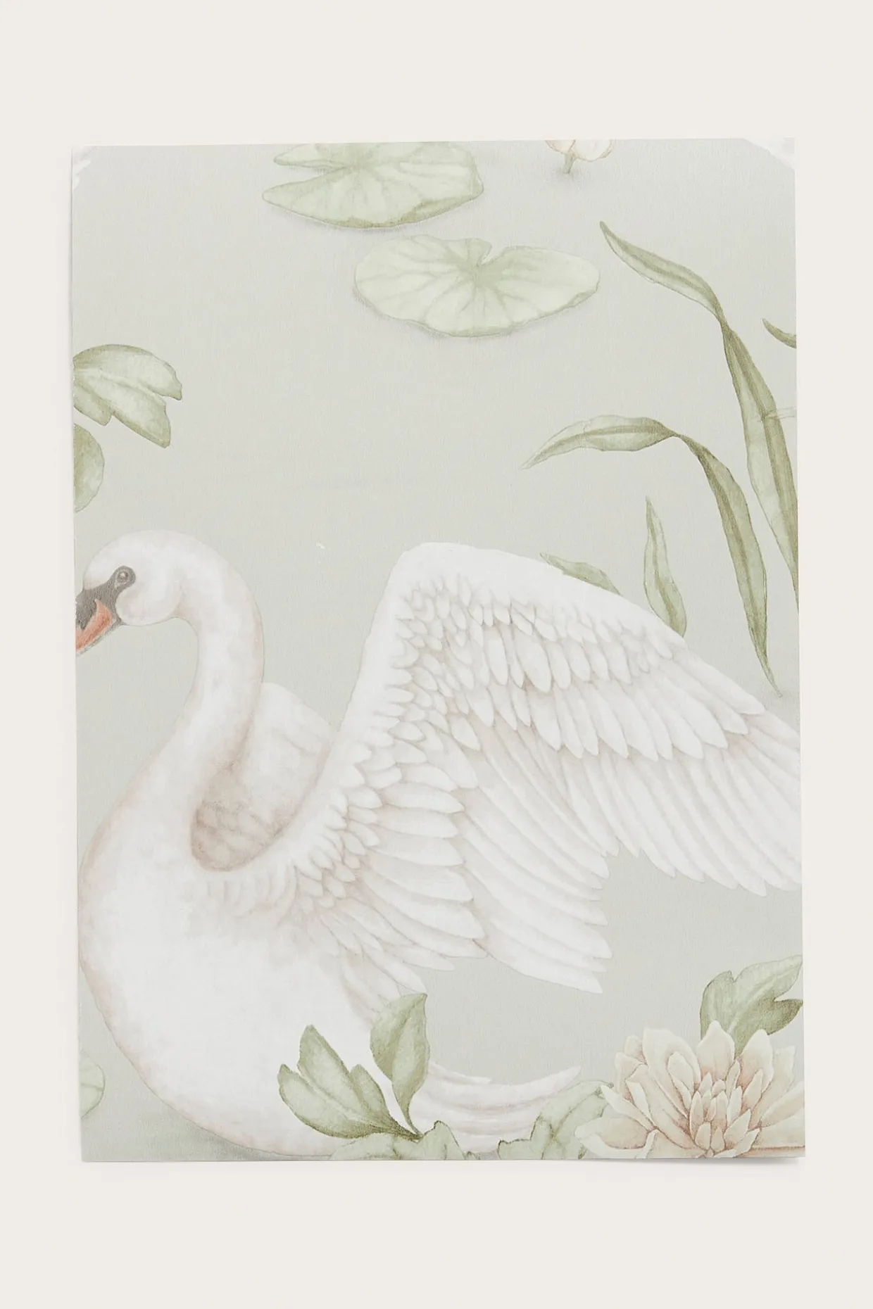 Tapetprov Lily Swan